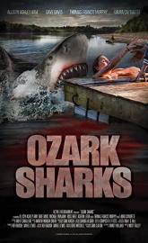 Ozark Sharks poster