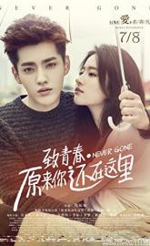 Never Gone poster