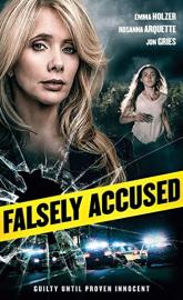Falsely Accused poster