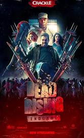 Dead Rising: Endgame poster