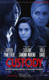 Custody poster