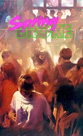Spring Broke poster