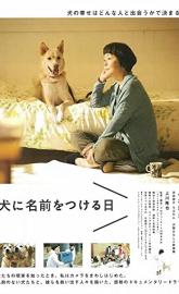 Dogs Without Names poster