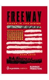 Freeway: Crack in the System poster