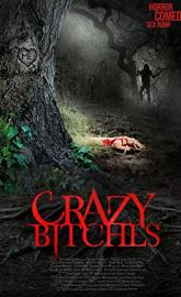 Crazy Bitches poster