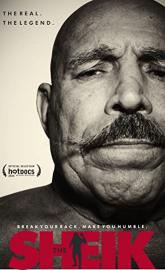 The Sheik poster