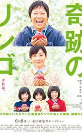 Miracle Apples poster