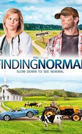 Finding Normal poster