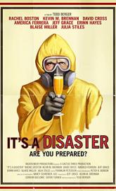 It's a Disaster poster