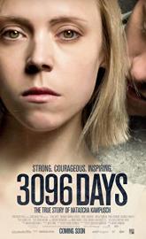 3096 Tage poster