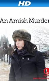 An Amish Murder poster