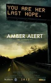 Amber Alert poster
