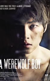 A Werewolf Boy poster