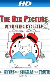 The Big Picture: Rethinking Dyslexia poster