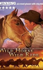 Wild Horse, Wild Ride poster