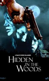 Hidden in the Woods poster