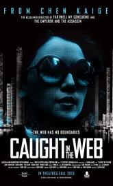 Caught in the Web poster
