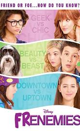 Frenemies poster