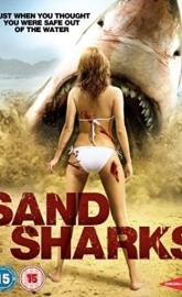 Sand Sharks poster