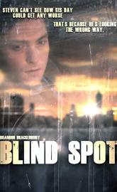 Blind Spot poster
