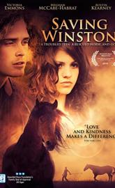 Saving Winston poster