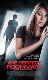 The Perfect Roommate poster