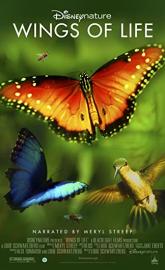Disneynature: Wings of Life poster
