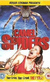 Camel Spiders poster