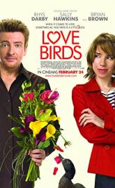 Love Birds poster