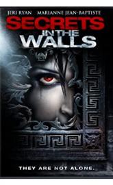 Secrets in the Walls poster