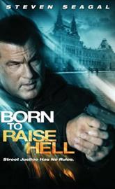 Born to Raise Hell poster