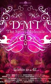 DMT: The Spirit Molecule poster