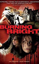 Burning Bright poster