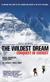 The Wildest Dream poster