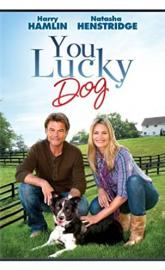 You Lucky Dog poster
