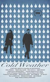 Cold Weather poster