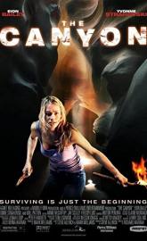 The Canyon poster