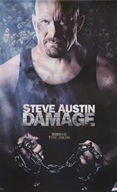 Damage poster