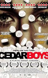 Cedar Boys poster