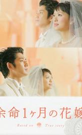 April Bride poster