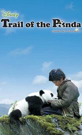 Trail of the Panda poster