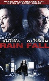 Rain Fall poster