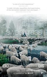 Sweetgrass poster