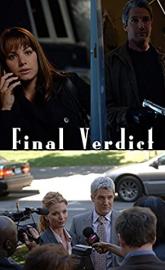 Final Verdict poster
