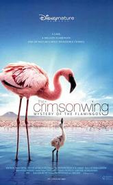 The Crimson Wing: Mystery of the Flamingos poster