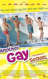 Another Gay Sequel: Gays Gone Wild! poster