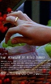 The Pleasure of Being Robbed poster