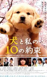 10 Promises to My Dog poster