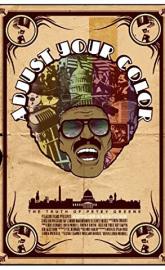 Adjust Your Color: The Truth of Petey Greene poster