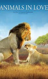 Animals in Love poster